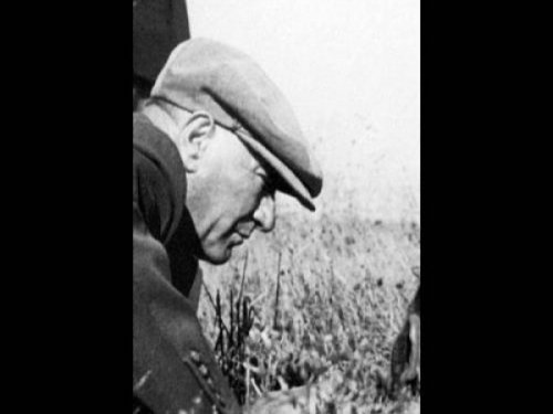 atam157.jpg