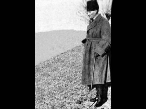 atam182.jpg