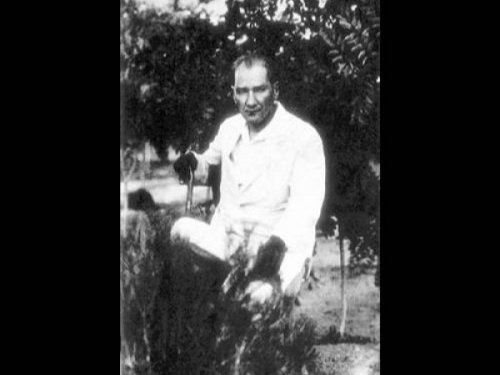 atam204.jpg