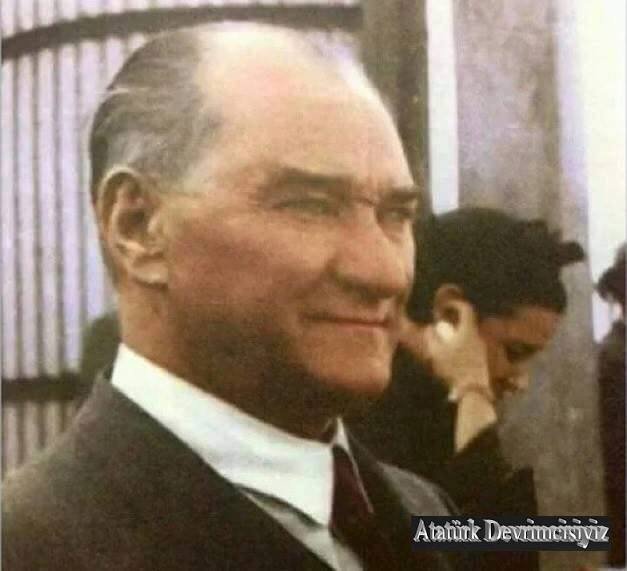 atam361.jpg
