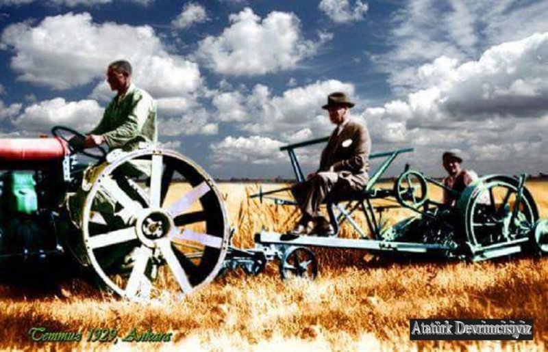 atam366.jpg