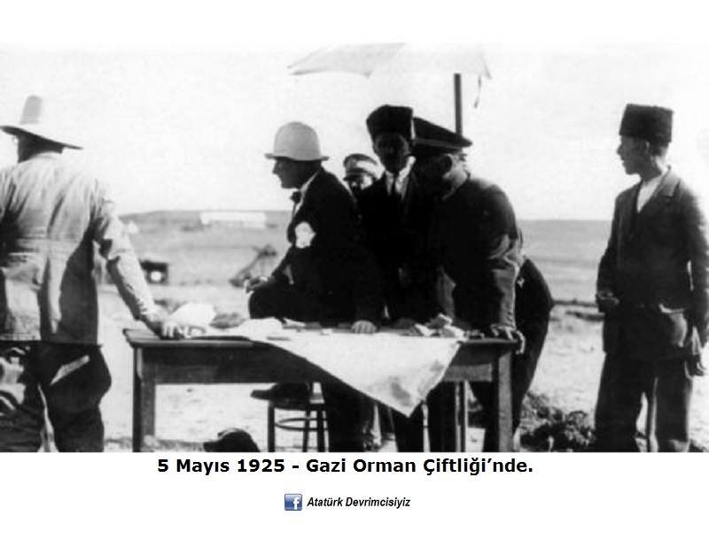 atam372.jpg
