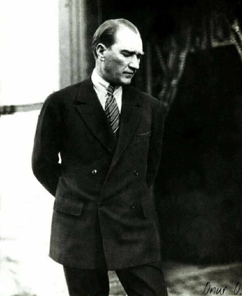 atam373.jpg