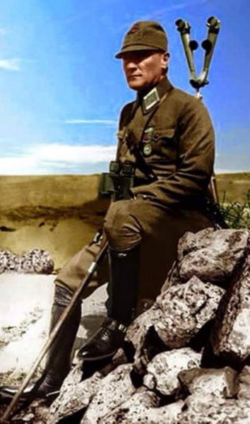atam397.jpg