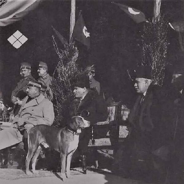 atam485.jpg