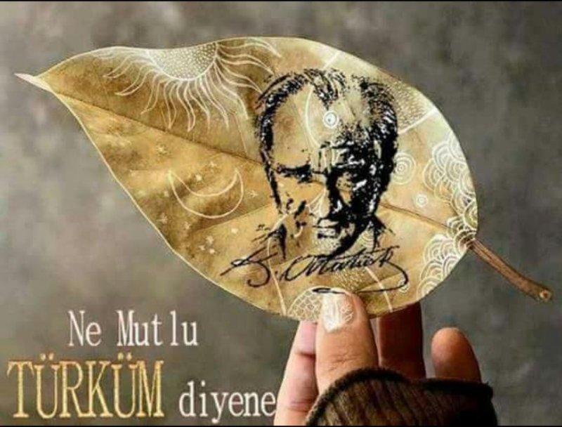 atam542.jpg