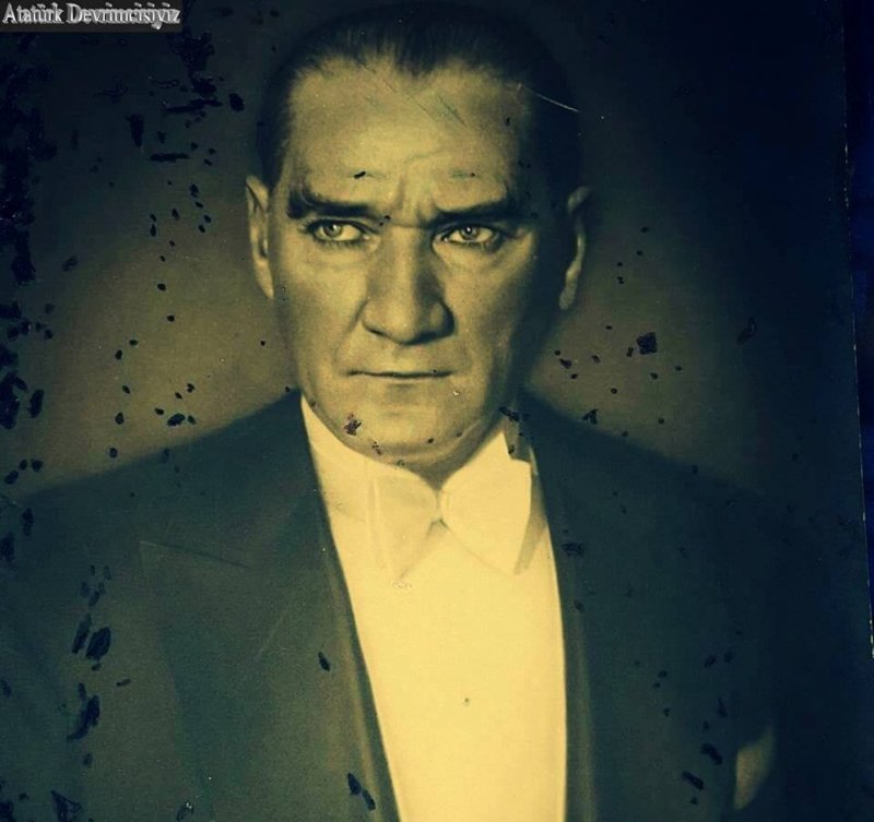 atam546.jpg