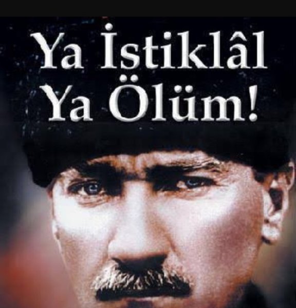 atam591.jpg