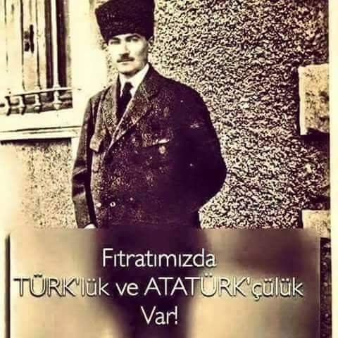 atam606.jpg