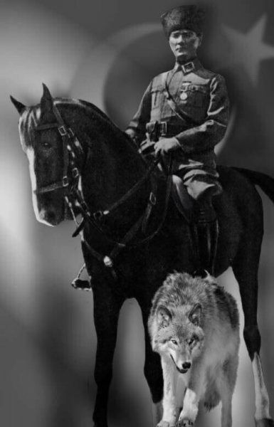 atam674.jpg