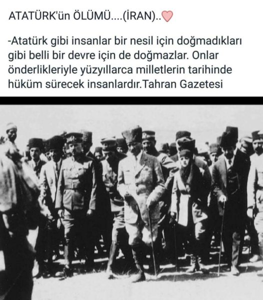 atam776.jpg
