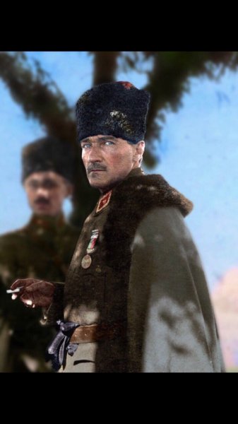 atam796.jpg